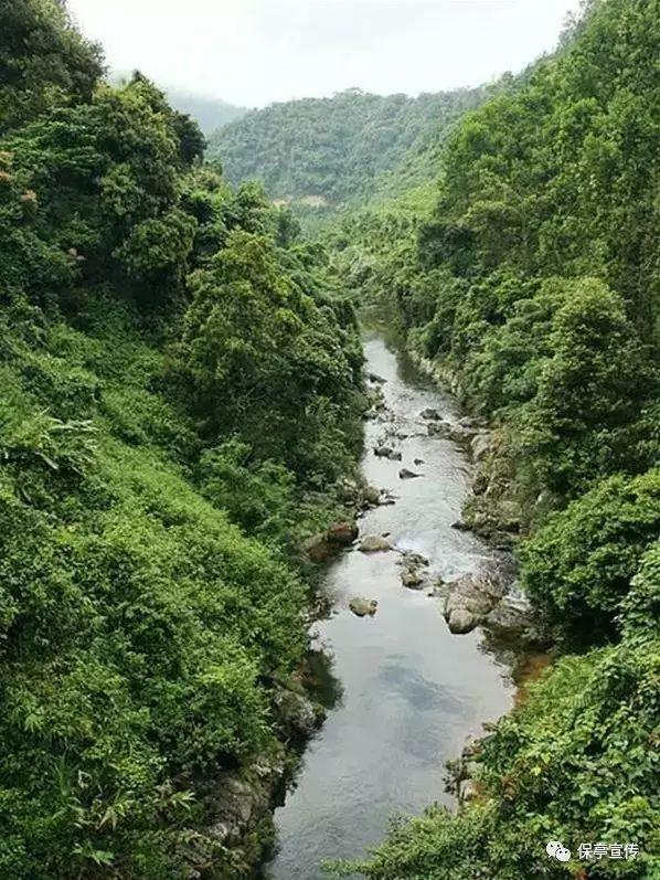 探索冷知识,尽在坐飞机可以领手提袋吗?平台